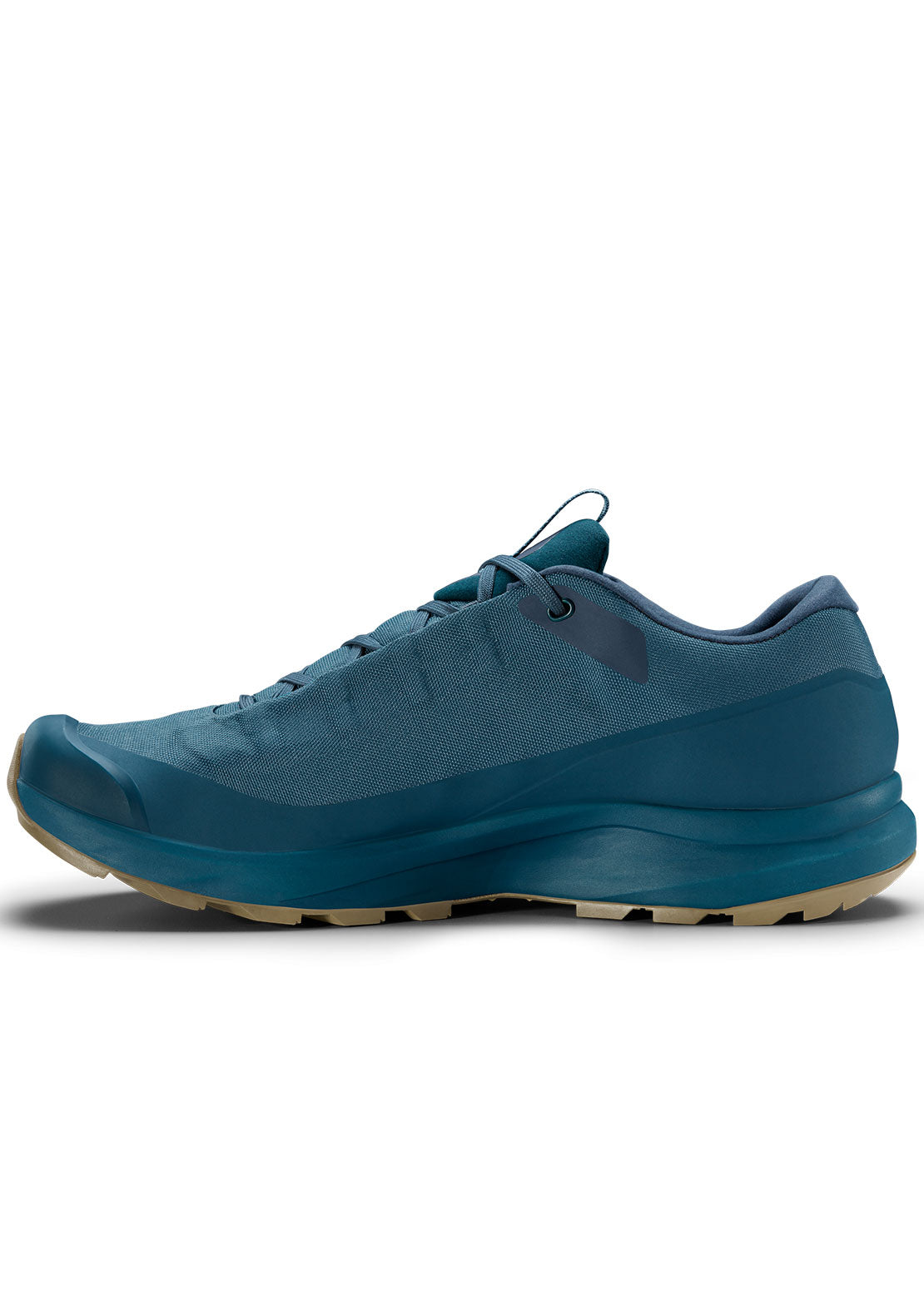 Arc'teryx Men's Aerios FL GORE-TEX Shoes - PRFO Sports