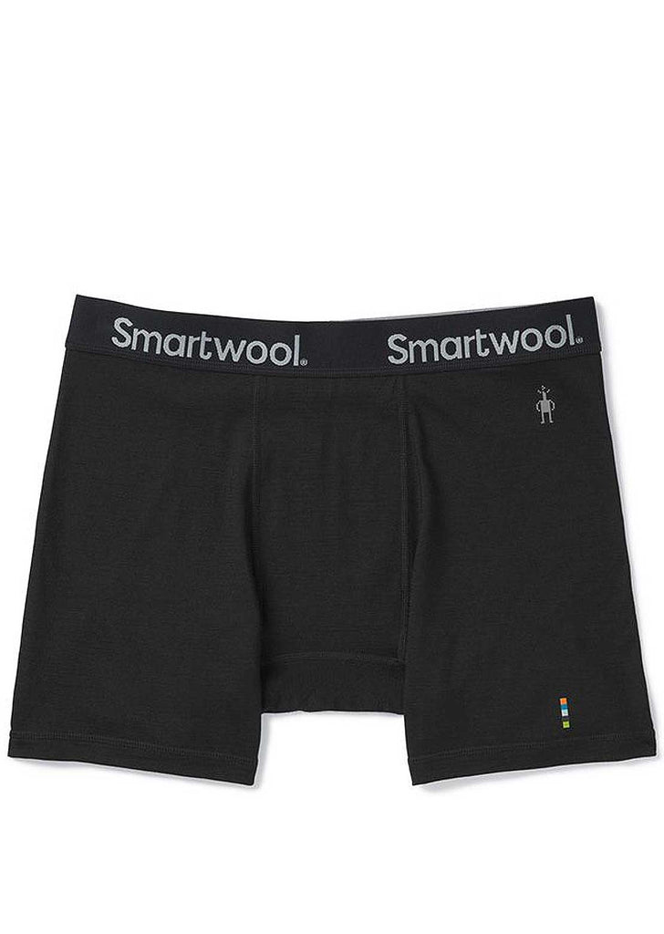 Smartwool Men's Merino Sport 150 Brief - PRFO Sports